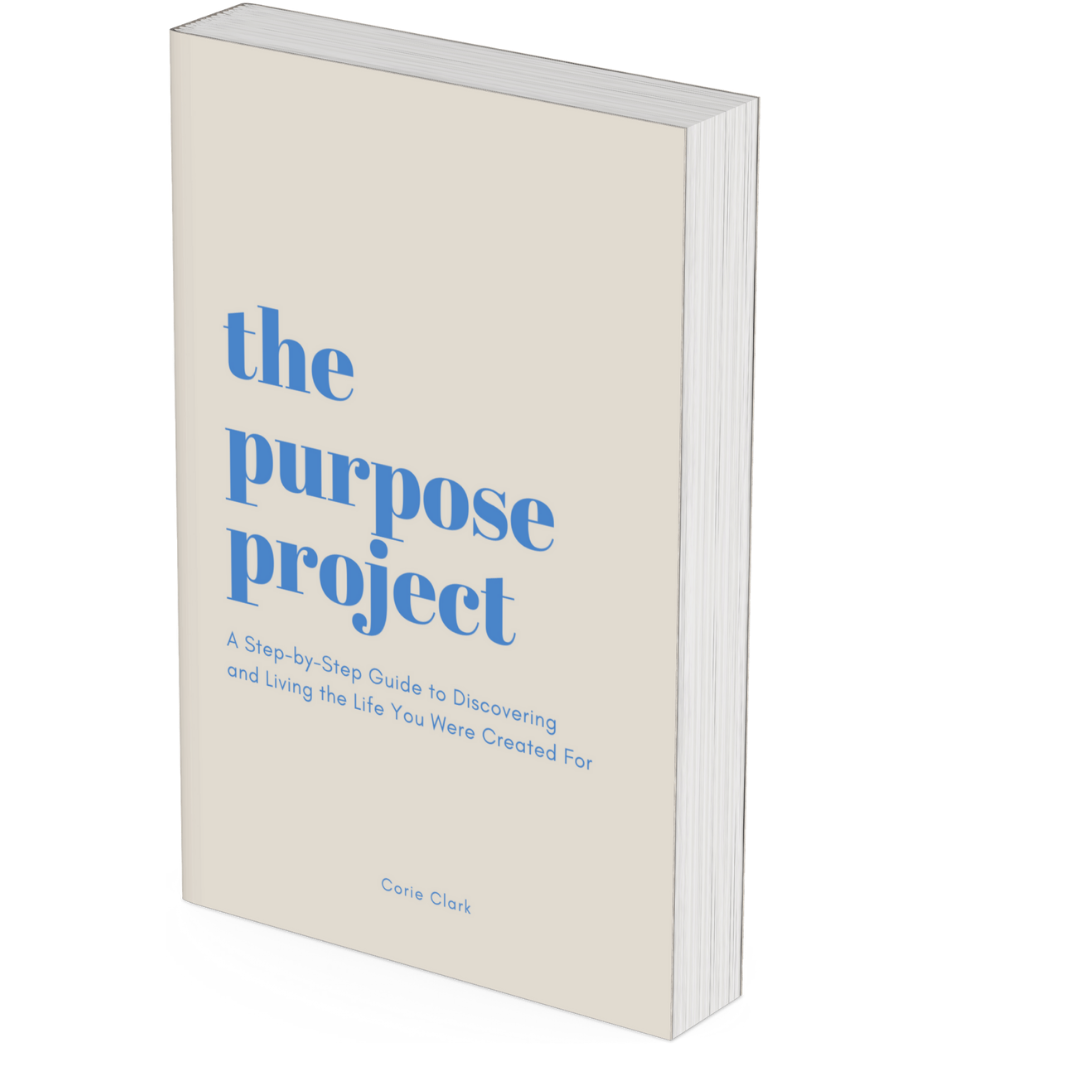 Cover of The Purpose Project – Faith-Based Guide for Women