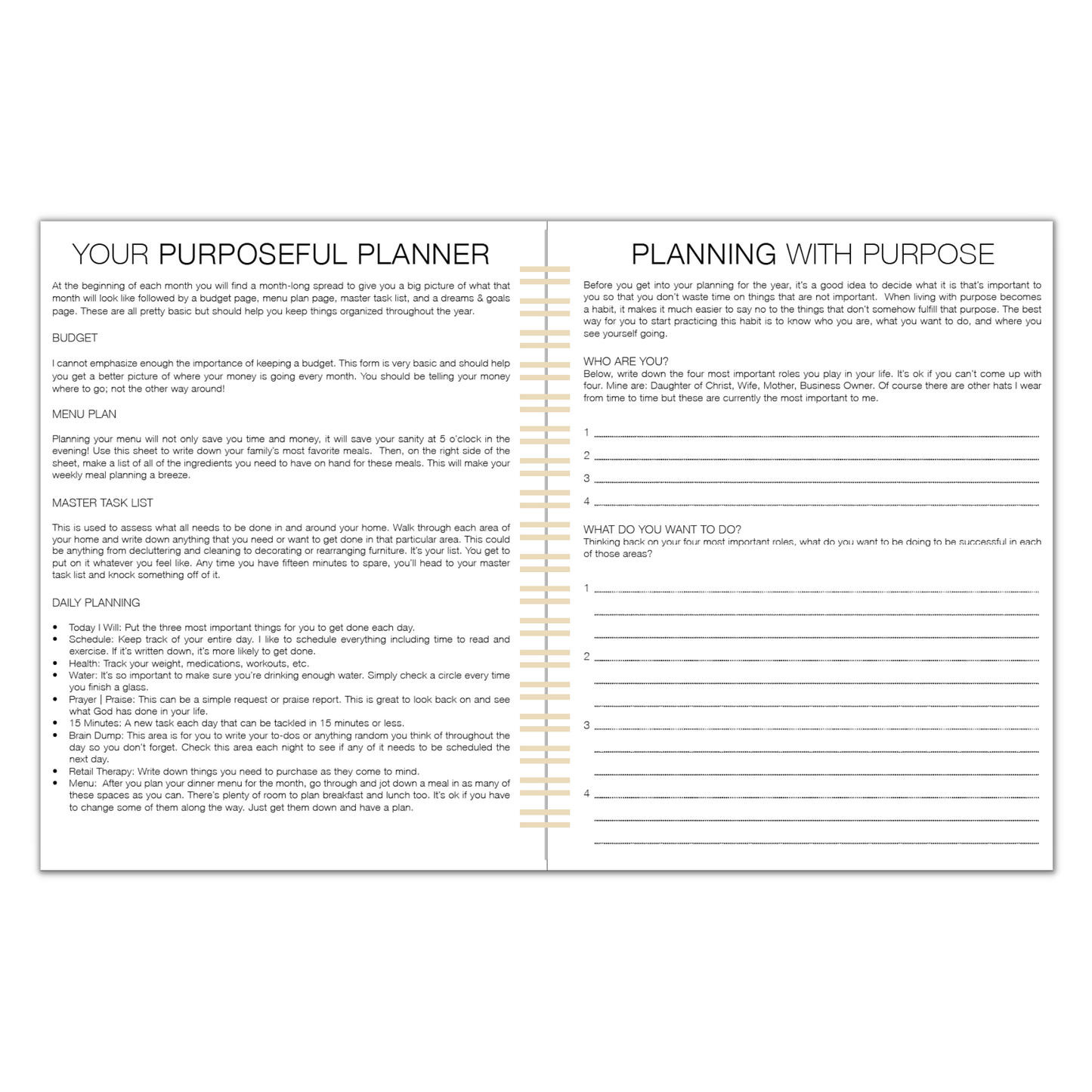 2024 Daily Purposeful Planner - CoCo Palms