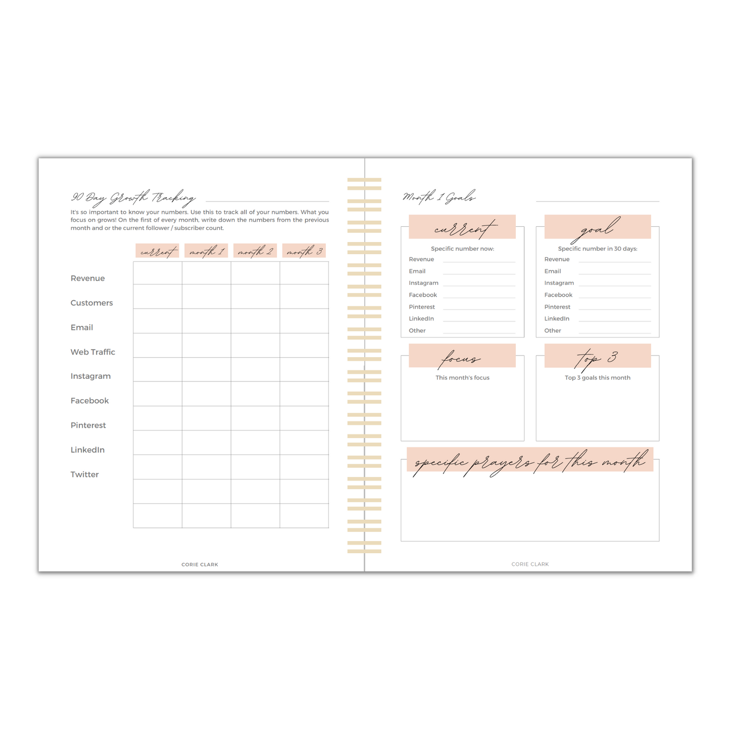 Purpose Babe 90 Day Business Planner